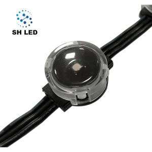 Atraksi Wisata Pencahayaan WS2811 LED Pixel